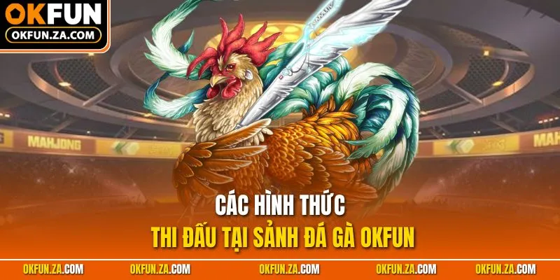 Các hình thức thi đấu tại sảnh Đá gà OKFUN