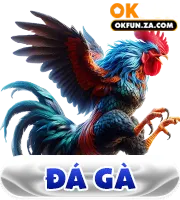 đá gà okfun za