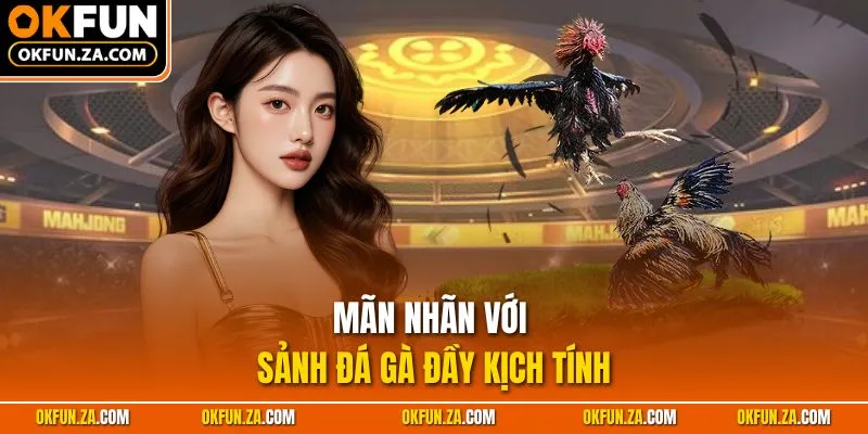 Mãn nhãn với sảnh Đá gà đầy kịch tính