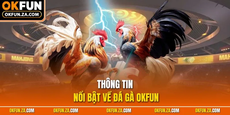 Thông tin nổi bật về Đá gà OKFUN