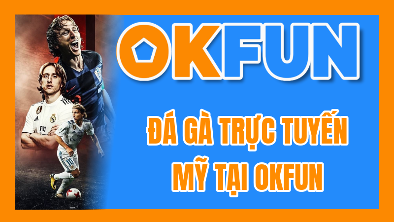 Đá Gà Trực Tuyến Mỹ Tại OKFUN: Review Trận Đấu, Kèo Cược Và Trải Nghiệm Chân Thực