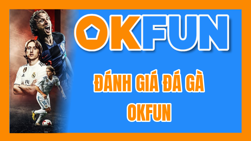 Đánh Giá Đá Gà OKFUN: Tốc Độ Trực Tiếp Và Chất Lượng Hình Ảnh Sân Cược